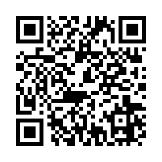 以勇者为名的公司手游