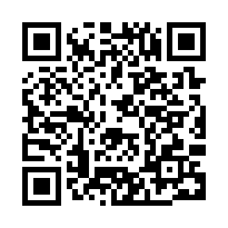 PPT/WPS模板教程