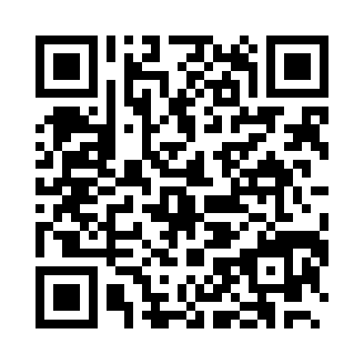 audiolab专业版