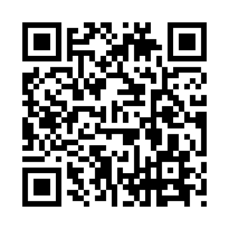 伴侣WiFi