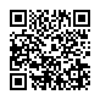 bitstamp交易所官网版