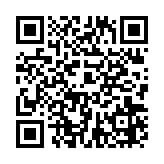 Bee network挖矿最新版本