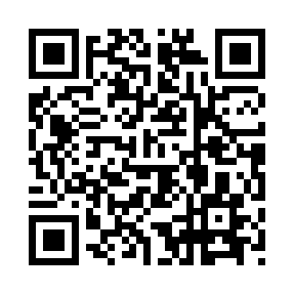纸飞机新版本(Telegram)