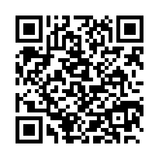 小说录入官方正版