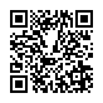 im体育app