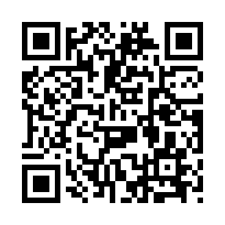智聊OpenAI