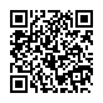 金龙WiFi
