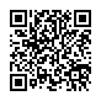 巴士公路赛车(BusX Highway Racer)