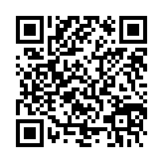 IDBS巴士模拟国风版(IDBS Bus Lintas Sumatera)