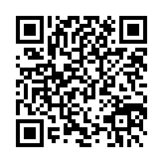 古怪的硬币(Flippy Coin)