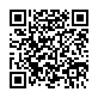 航运公司巨头(Shipping Company Tycoon)