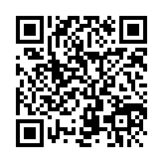 hillclimbracing破解版