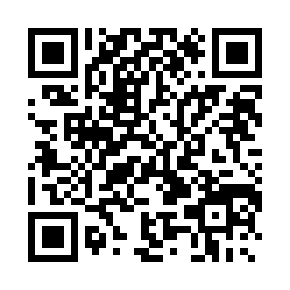 口袋觉醒999999级破解版