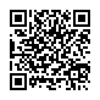 口袋妖怪最后的火红4.0.3金手指