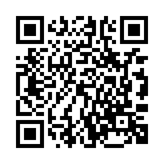 五颜六色的3D车队(ColorfulConvoy3D)