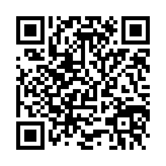 堡垒派对盗梦者