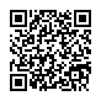 方块警察捉强盗手游