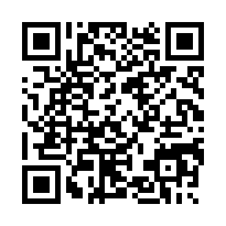 冒险2online飞升版
