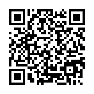 汽车改装调谐系统模拟器