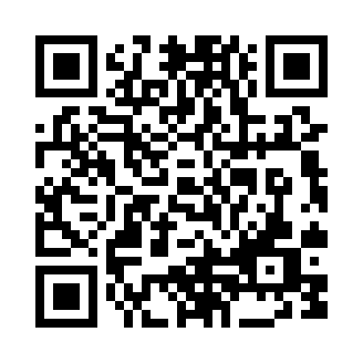 scp基金会4.0