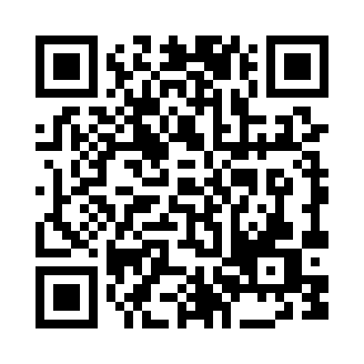 中国公园模拟器