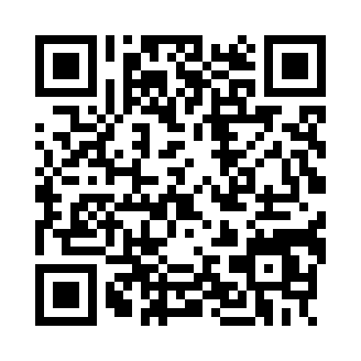 工艺宫殿专业版2020
