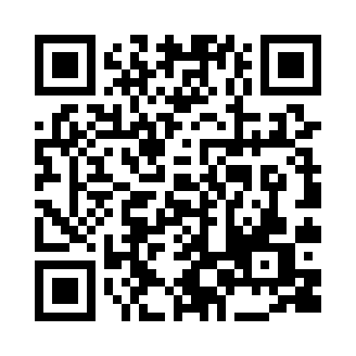 麦克斯神秘侦探ios版