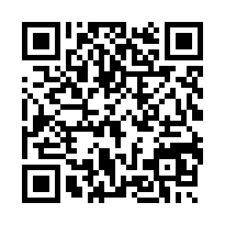 曲棍球传球3D球门苹果版