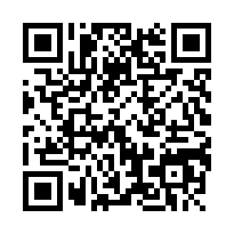 我在江湖之枕上仙