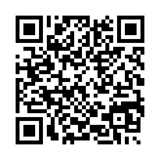 jolly3(JOLLY 3 Android)