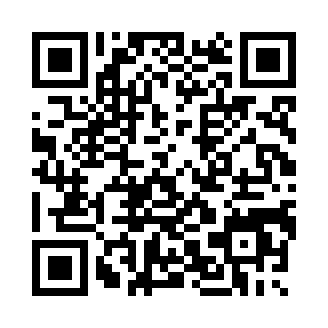 海盗船战斗3D(Pirate Ship Battle 3D)