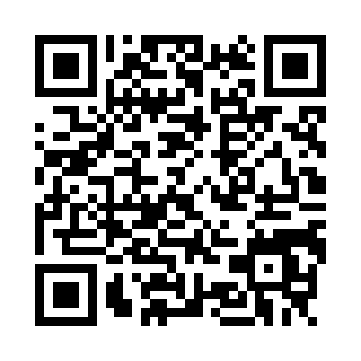 洛圣都警察模拟器(LosAngelesCrimes)