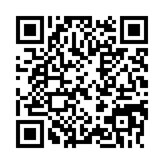 时轴旅人(Timeline Traveler)