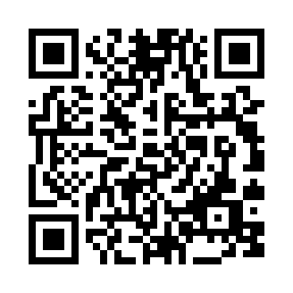 虚拟老公模拟器