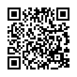 像素先生生存模拟器