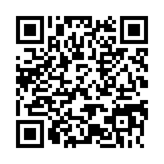 空战战机飞行员先锋