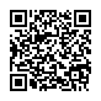 真实驾驶模拟器中文版