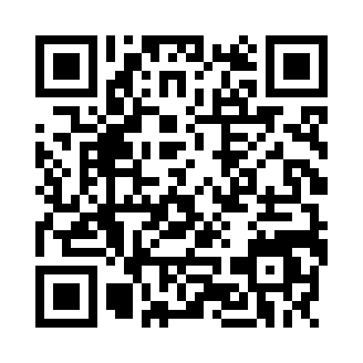 摸摸鱼烟花模拟器(Simulator Of Pyrotechnics 4)