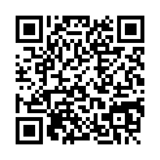 模拟车商(Used Car Dealer)