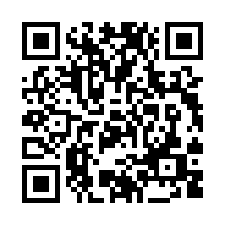 超逼真的攻城模拟器(SWS)